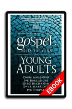 Gospel Meditations for Young Adults [Ebook]