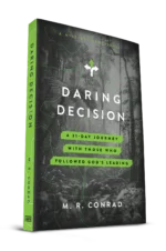 Daring Decision - Image 2